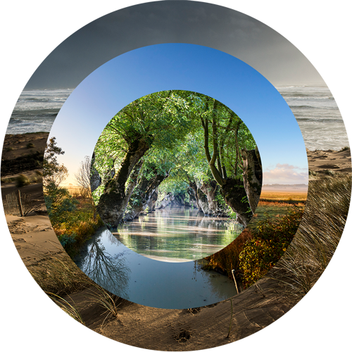 © Pascal Baudry, Alexandre Lamoureux 3 paysages Marais poitevin