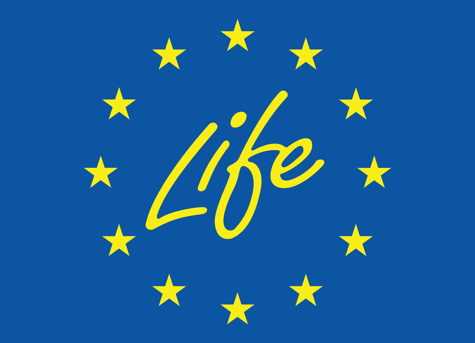 life Logo LIFE