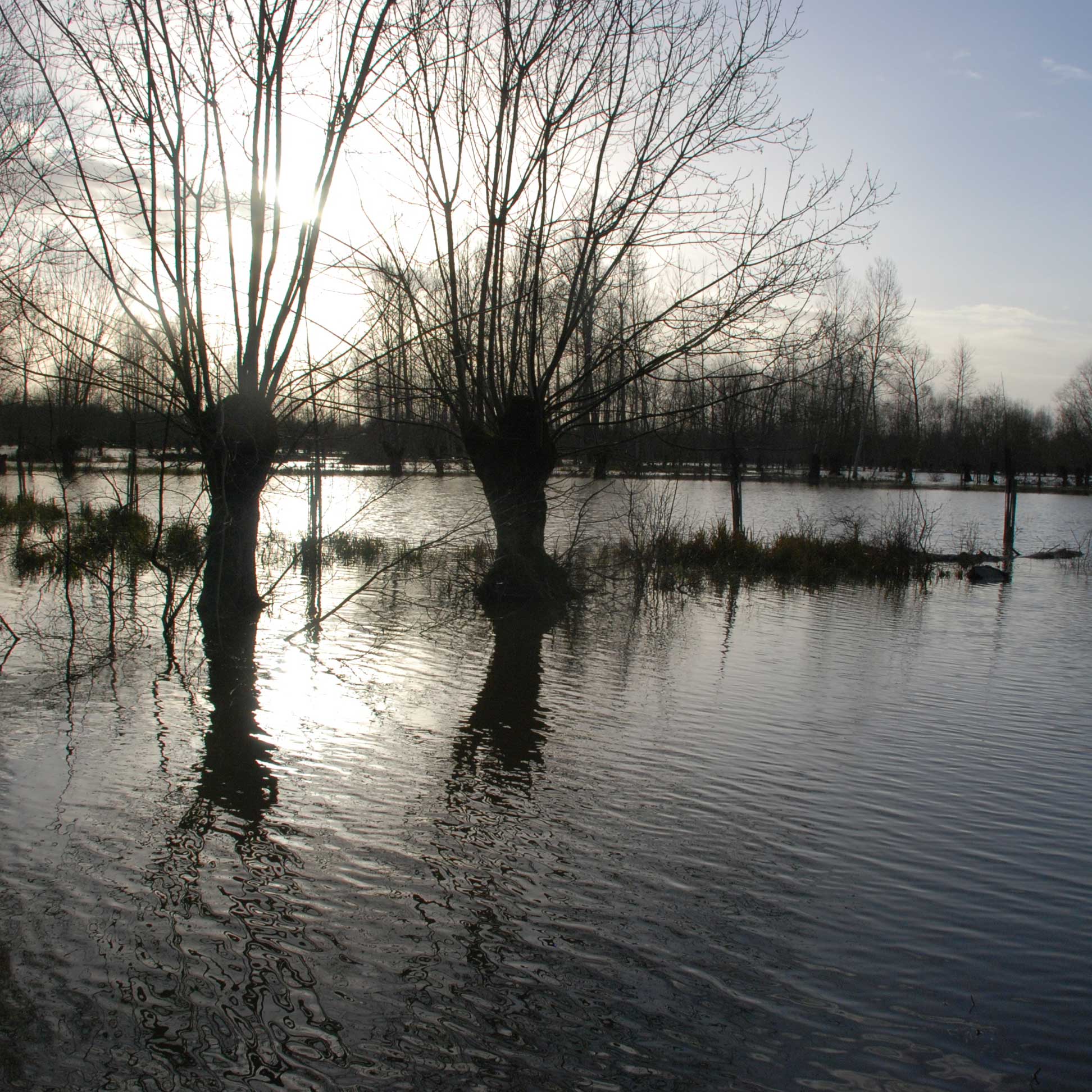 inondation-le-vanneau-irleau-Pimp-J-Giraud-carre