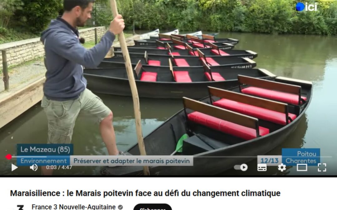 Reportage « Le Marais poitevin face au défi du changement climatique »