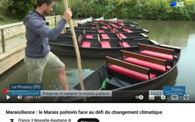 Reportage « Le Marais poitevin face au défi du changement climatique »
