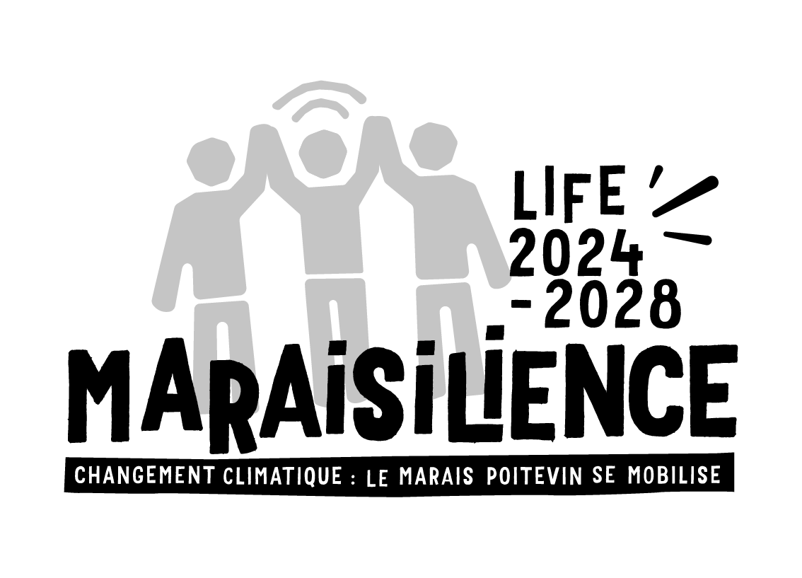 MARAISILIENCE - LOGO-DECLI - MOBILISATION CITOYENNE - NOIR