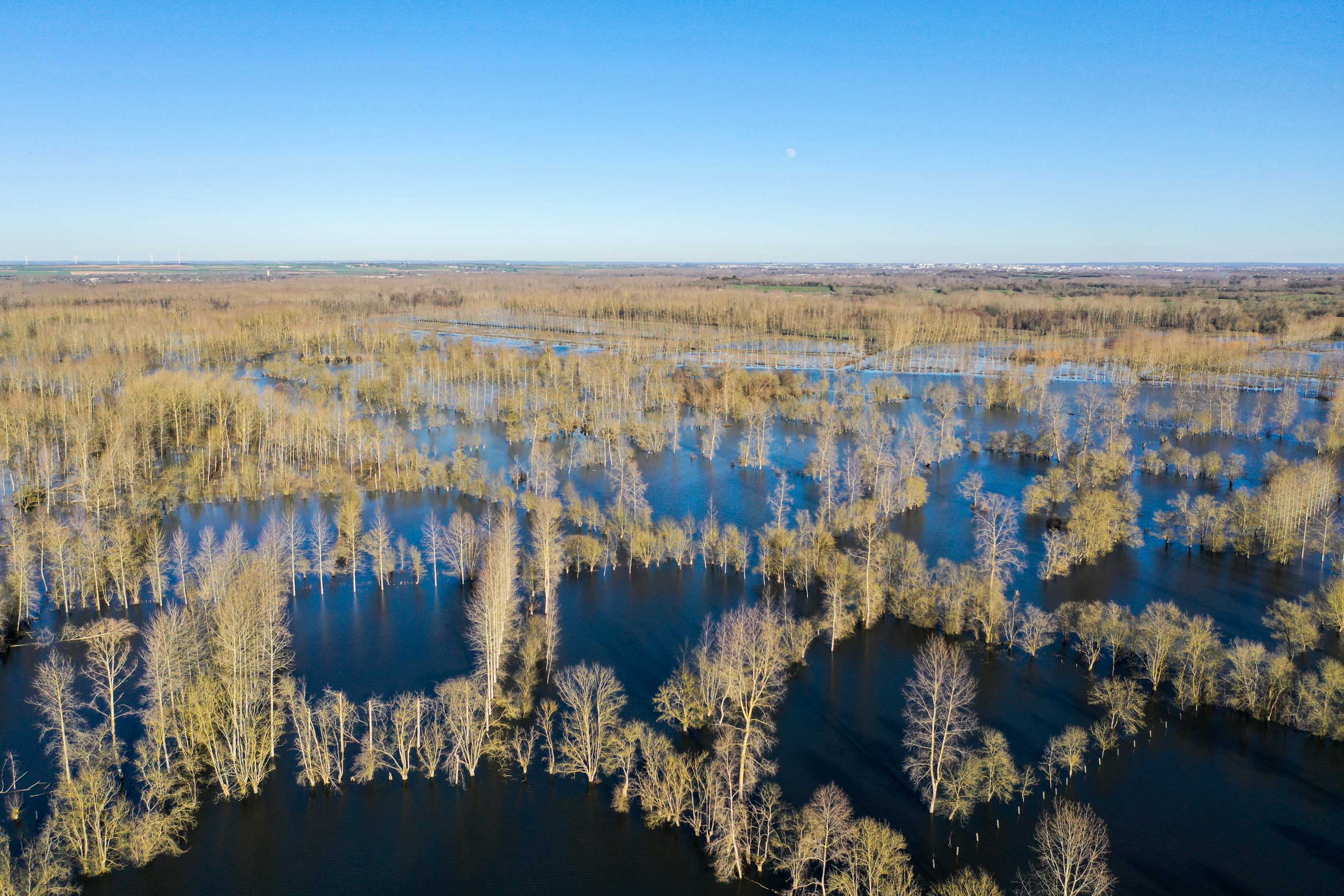 phonic-lips-hiver-2021-newsletter