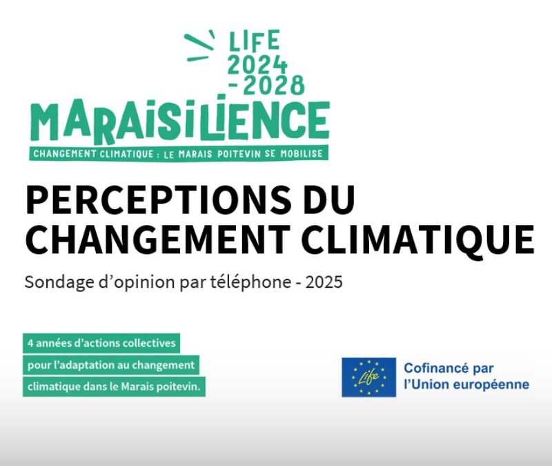 Représentations du changement climatique | Rapport de l’enquête auprès des habitants en 2025