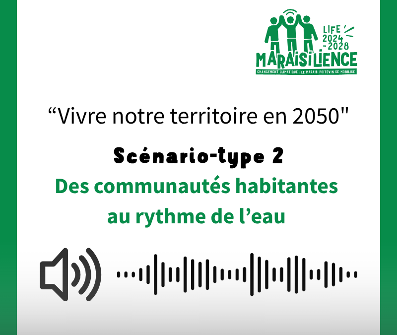 Capsule sonore | Des communautés habitantes au rythme de l’eau