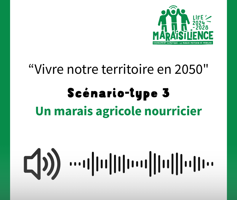 Capsule sonore | Un marais agricole nourricier