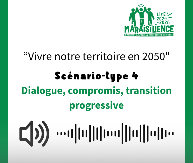 Capsule sonore | Dialogue, compromis, transition progressive