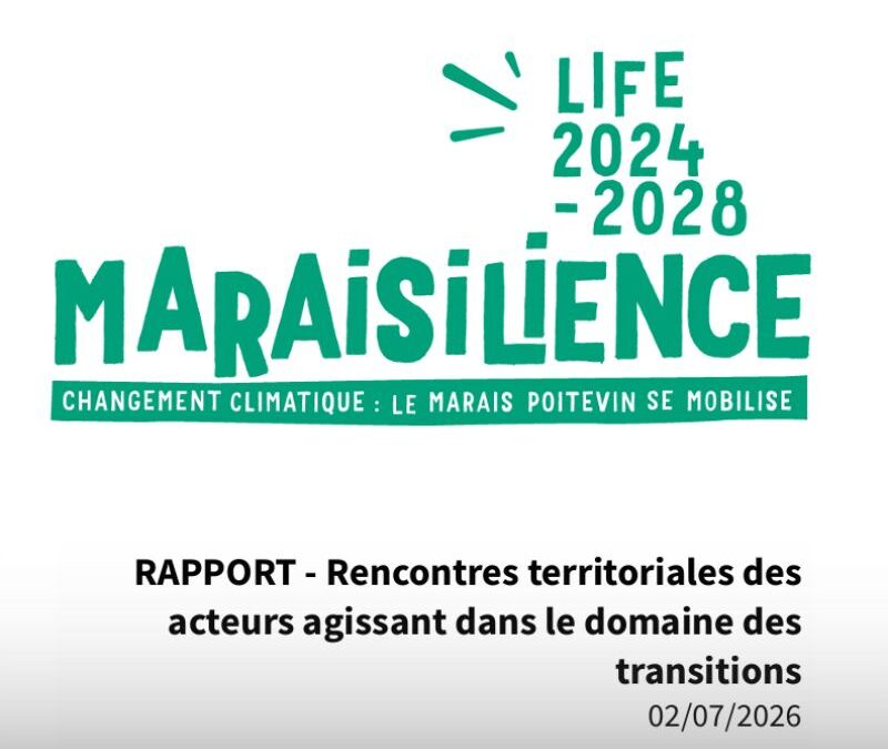 Rapport | Rencontres territoriales des acteurs agissant dans le domaine des transitions